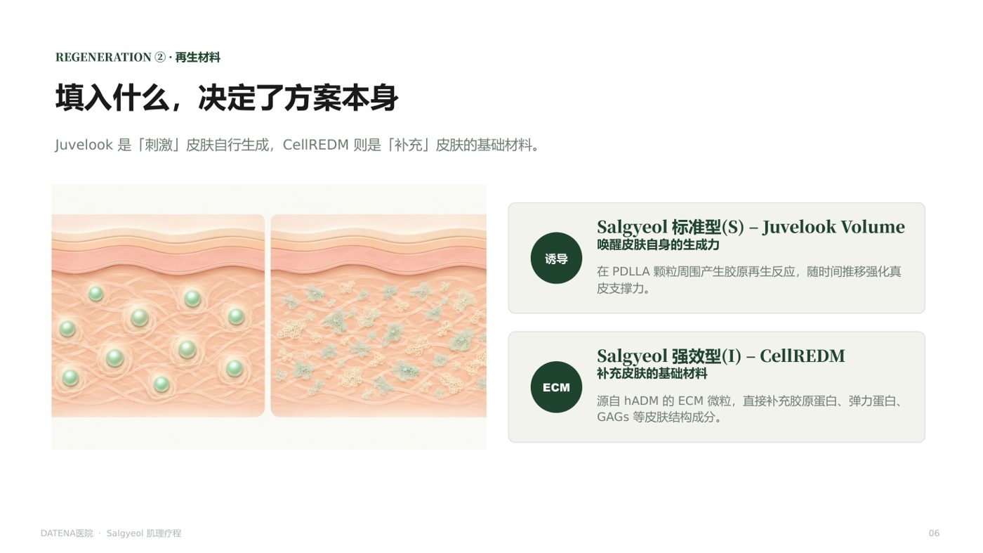 痘坑治疗项目说明资料 6/14
