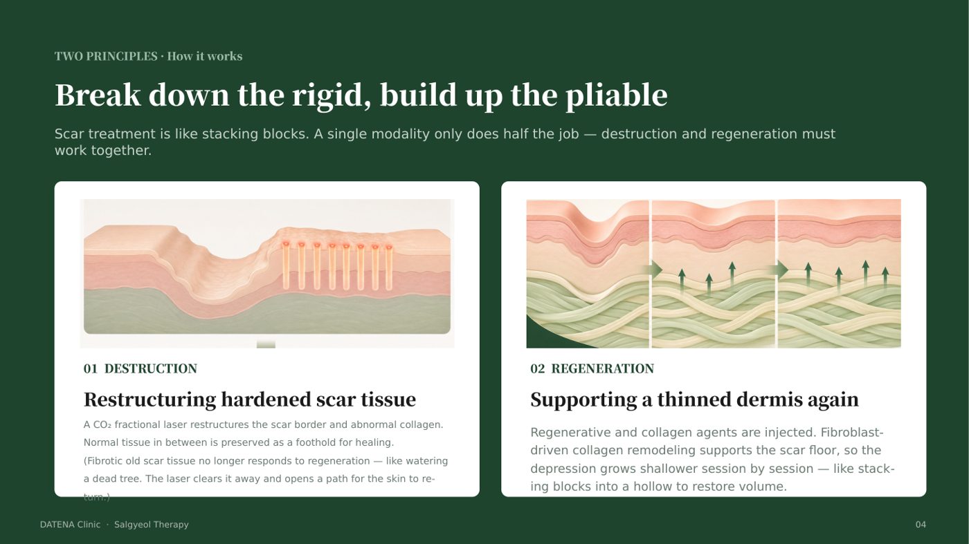 Break down the rigid, build up the pliable — destruction and regeneration principles